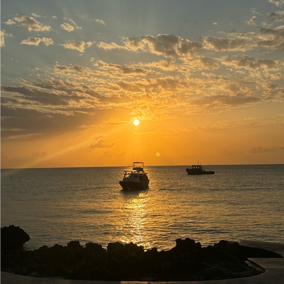 Meet your Posher, Vanesa - Picture 1 of 1